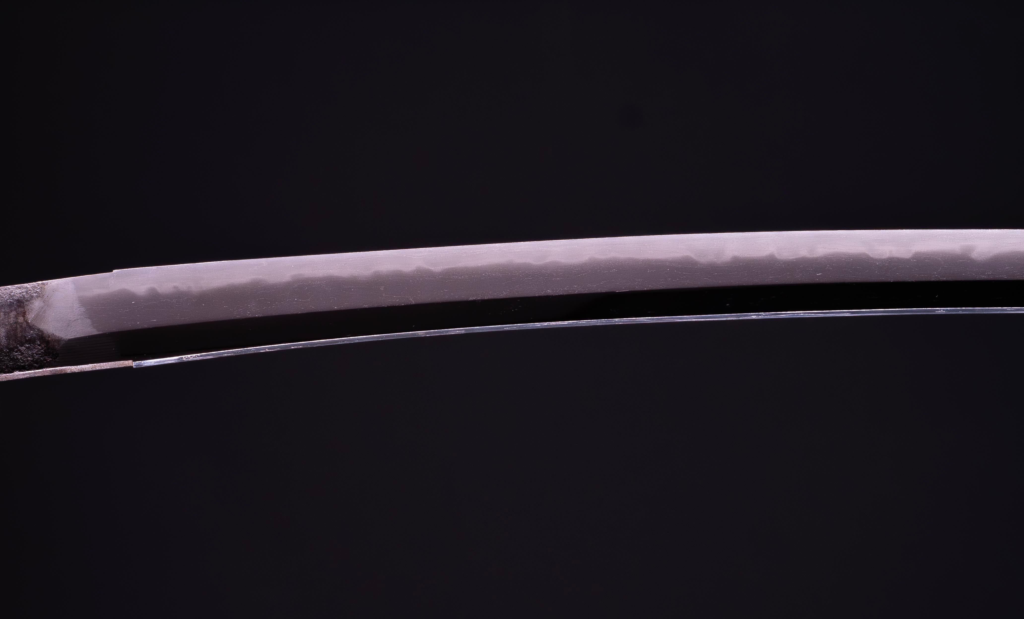 Katana Koto à Courbure Prononcée - 64,5 cm - Image 12