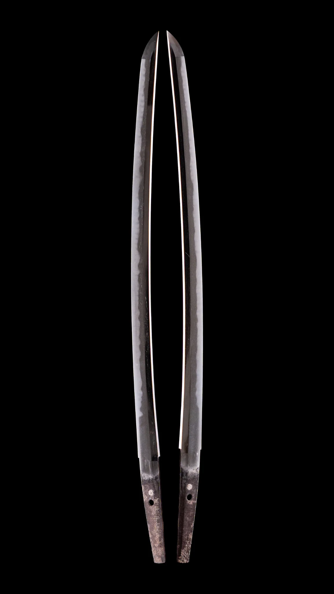 Sabre Antique Japonais Wakizashi Shinano no Kami Fujiwara Daidō - NBTHK Tokubetsu Hozon Token - Image 6