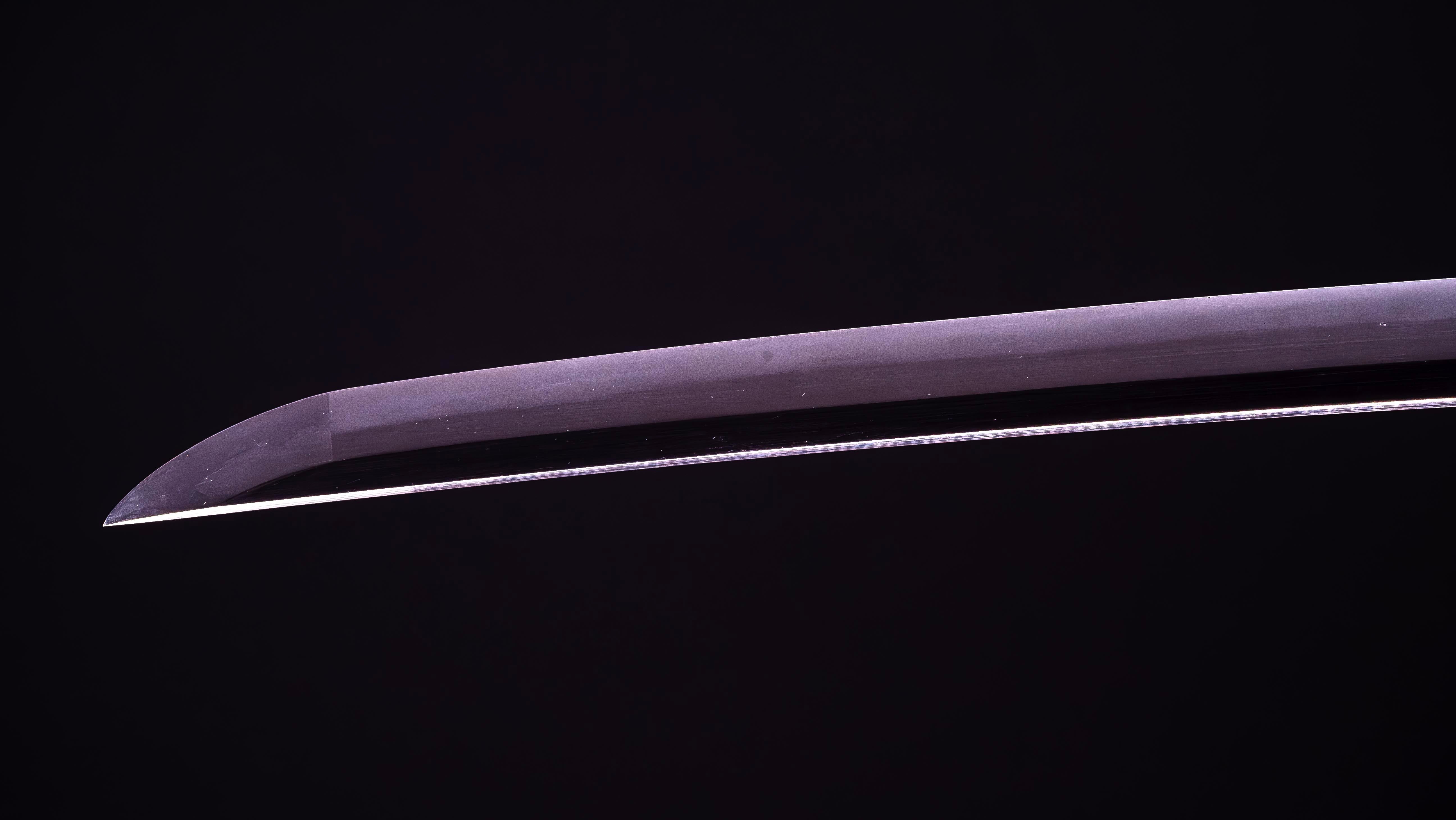 Sabre Japonais Antique Katana par Jumyo (Hozon) - Image 16