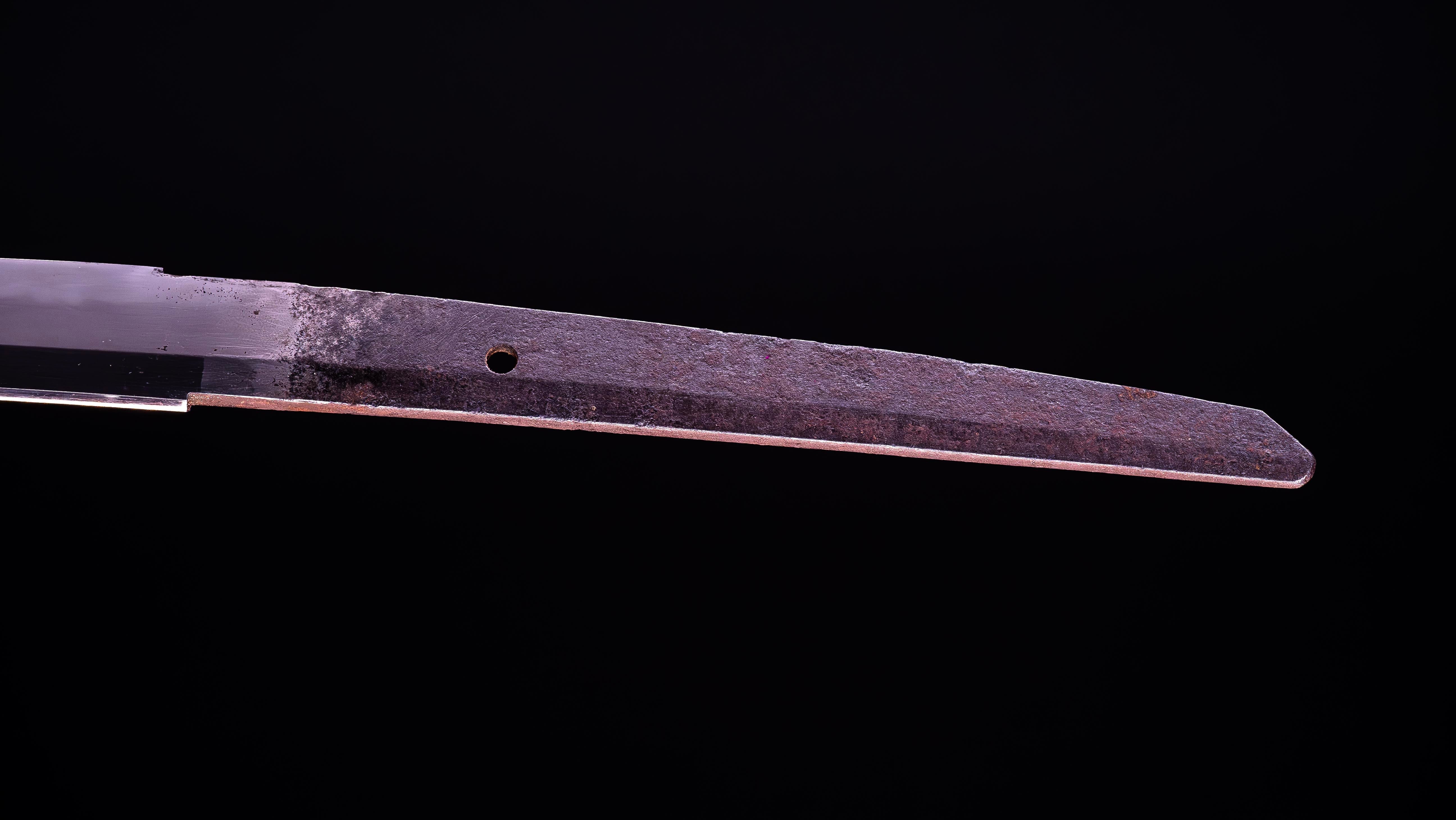 Sabre Japonais Antique Katana par Jumyo (Hozon) - Image 19