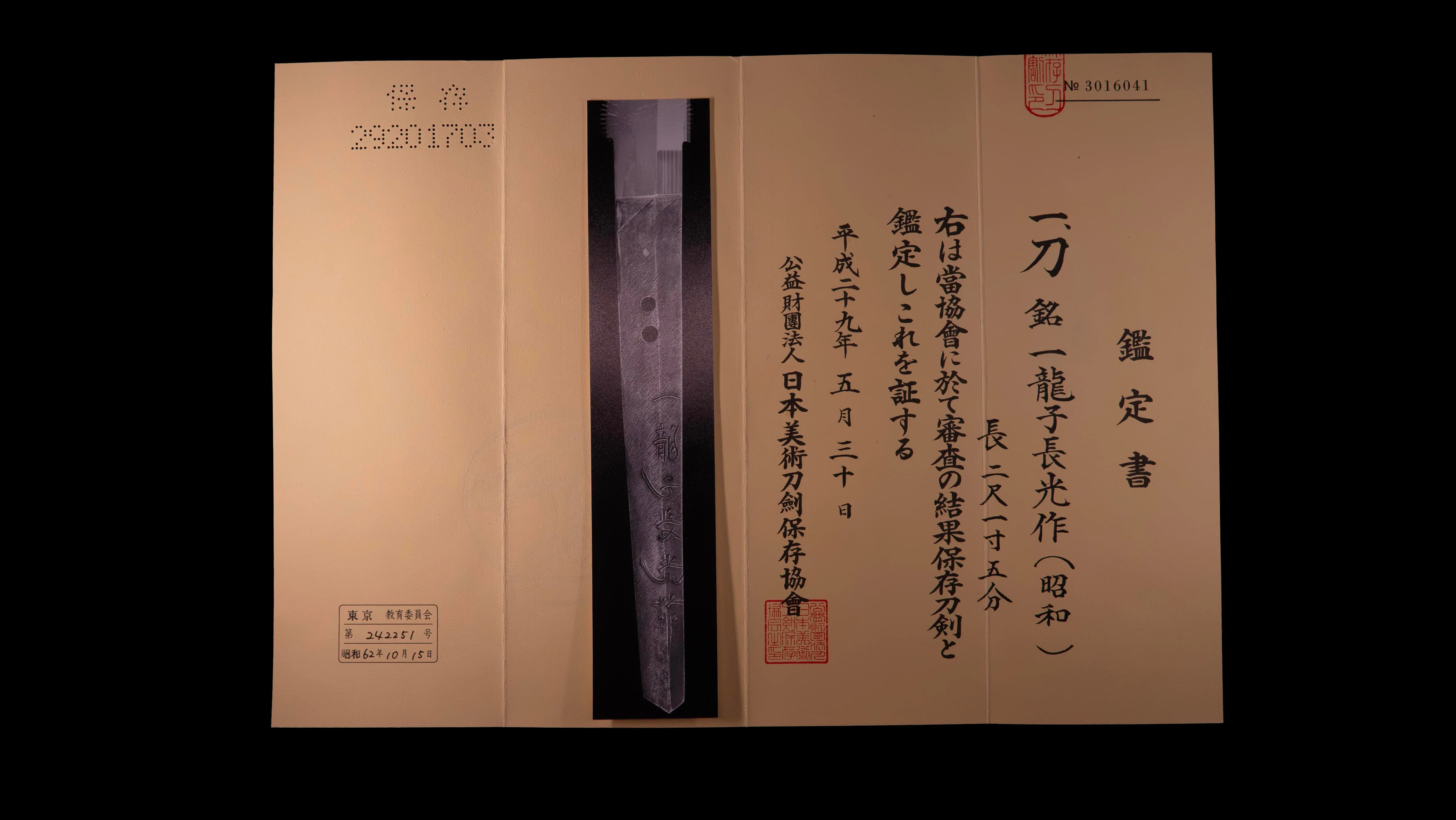 Sabre Japonais Katana Antique signé Ichiryushi Nagamitsu (Hozon) - Image 3